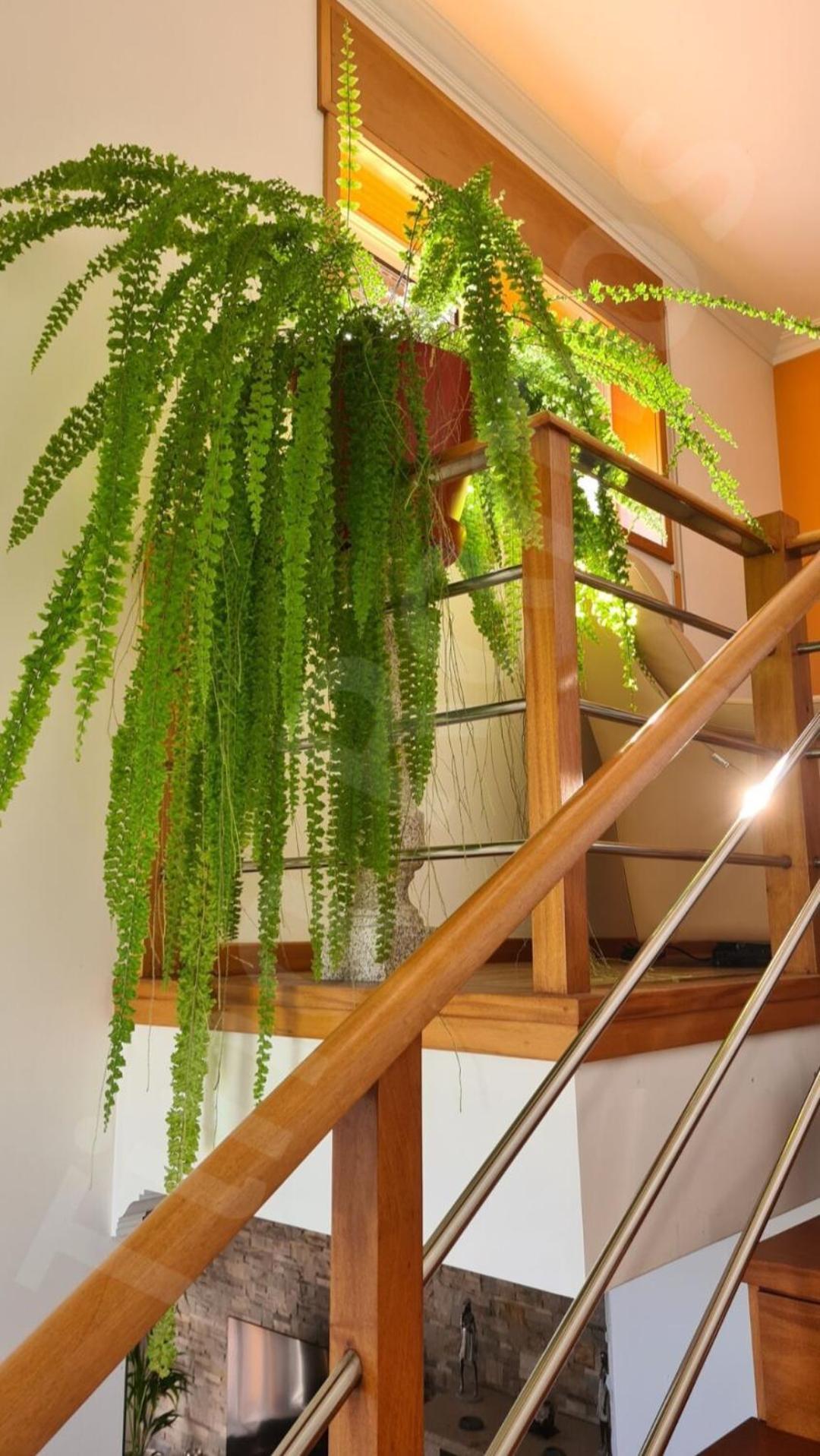 Casa Ramos Holiday home *